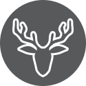 VU